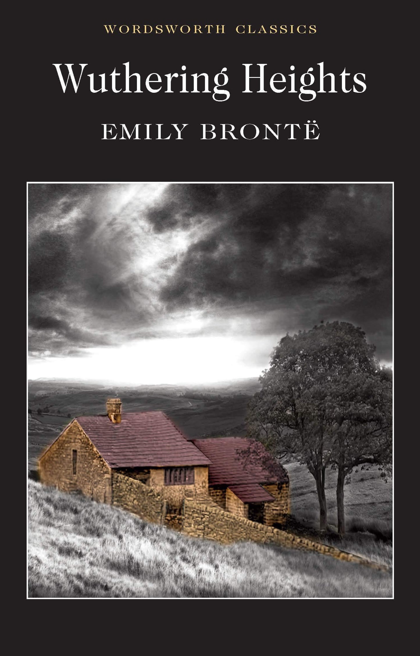 Wuthering Heights by Emily Bronte