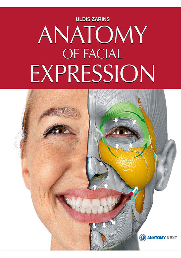 anatomy of facial expressions pdf