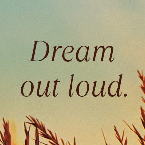 Dreamland by Nicholas Sparks (Limited Edition)