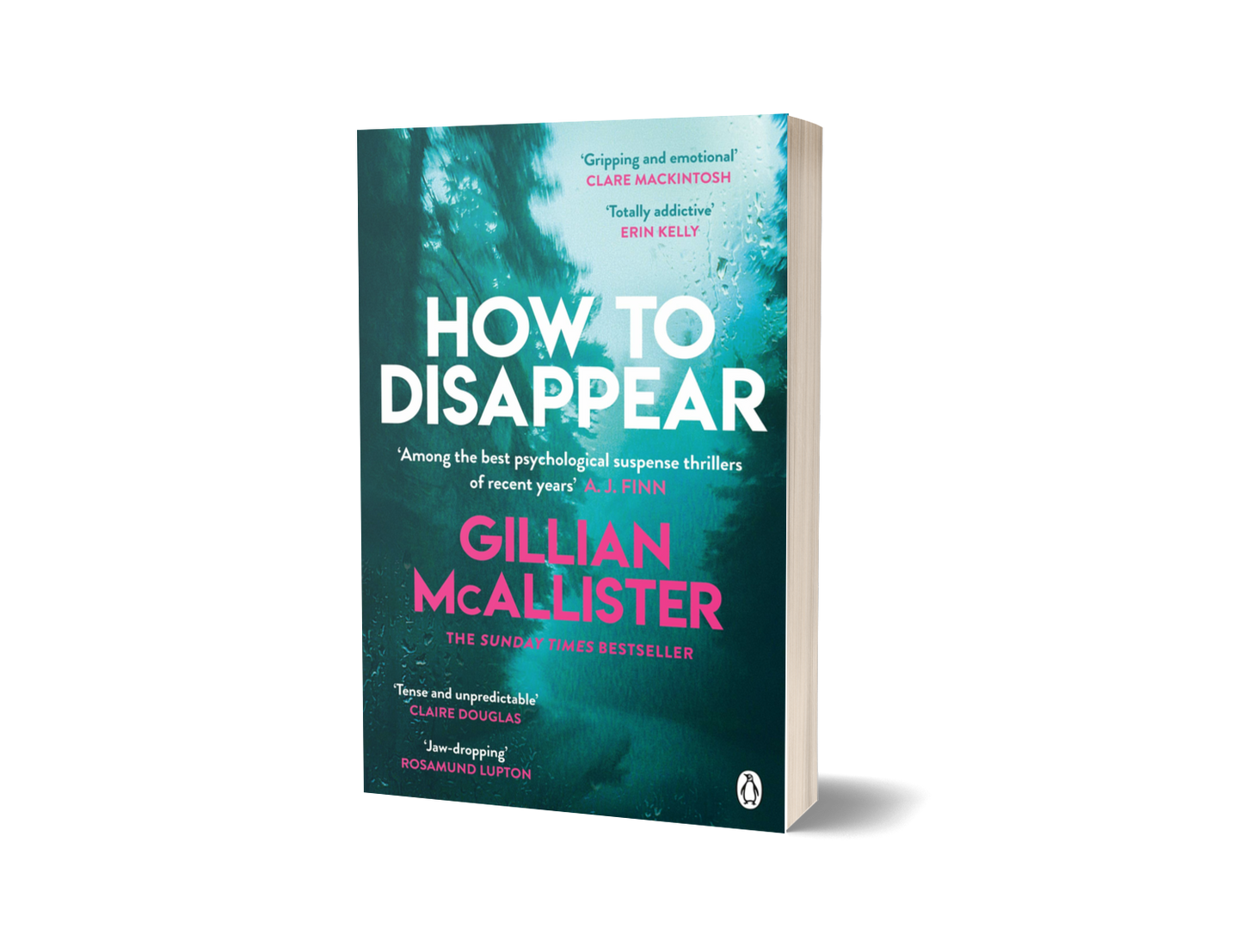 How to Disappear by Gillian McAllister