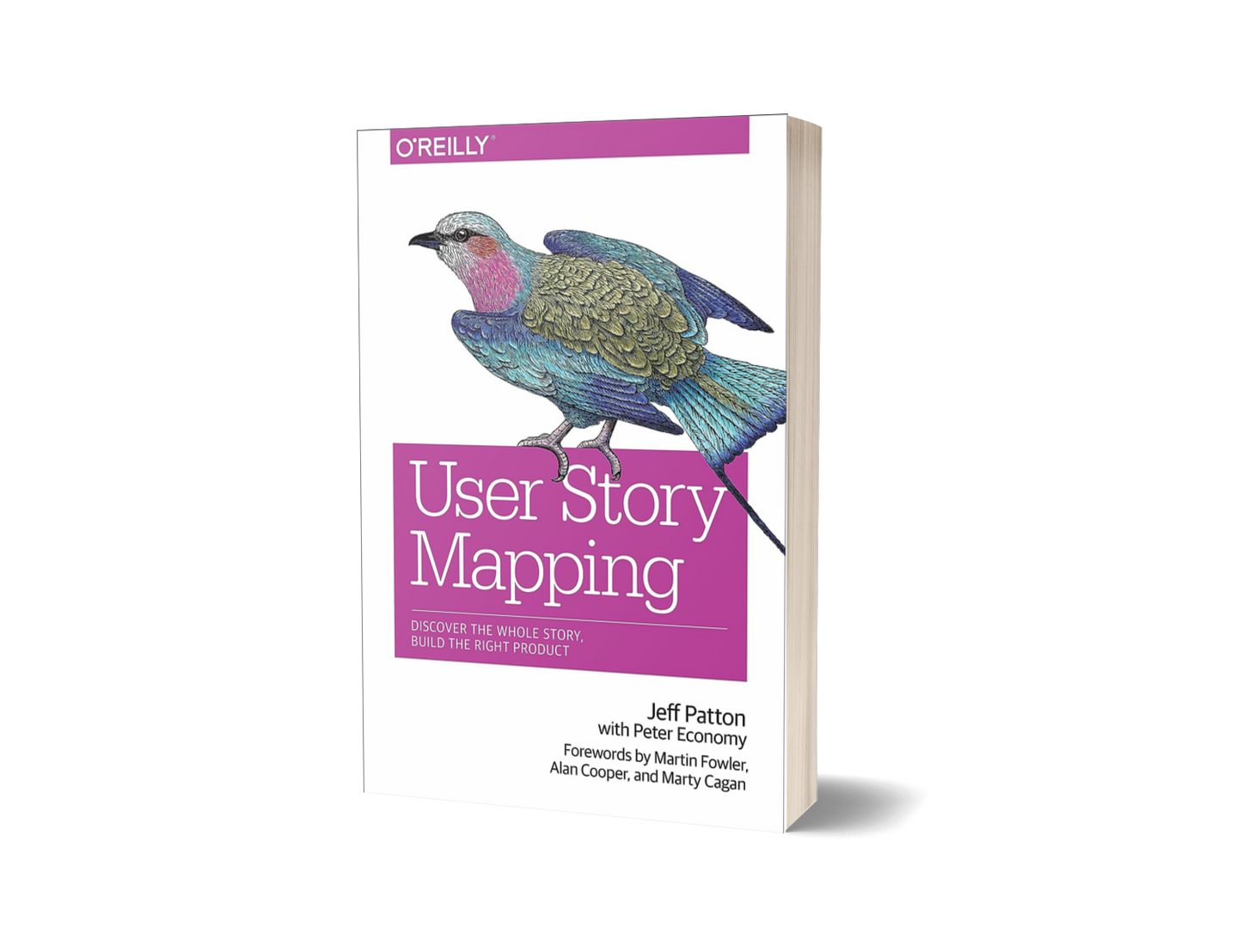 User Story Mapping by Jeff Patton, Martin Fowler, Peter Economy, Alan Cooper (Limited Edition)