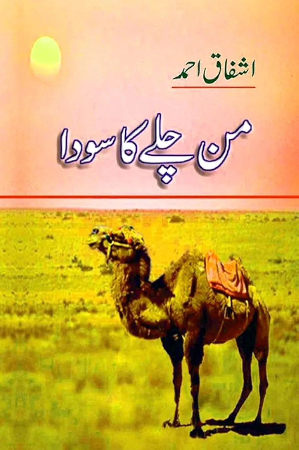 Man Chalay Ka Sauda (من چلے کا سودا) by Ashfaq Ahmad
