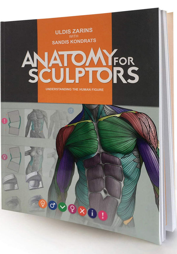 Anatomy For Sculptors, Understanding the Human Figure Paperback – Janu